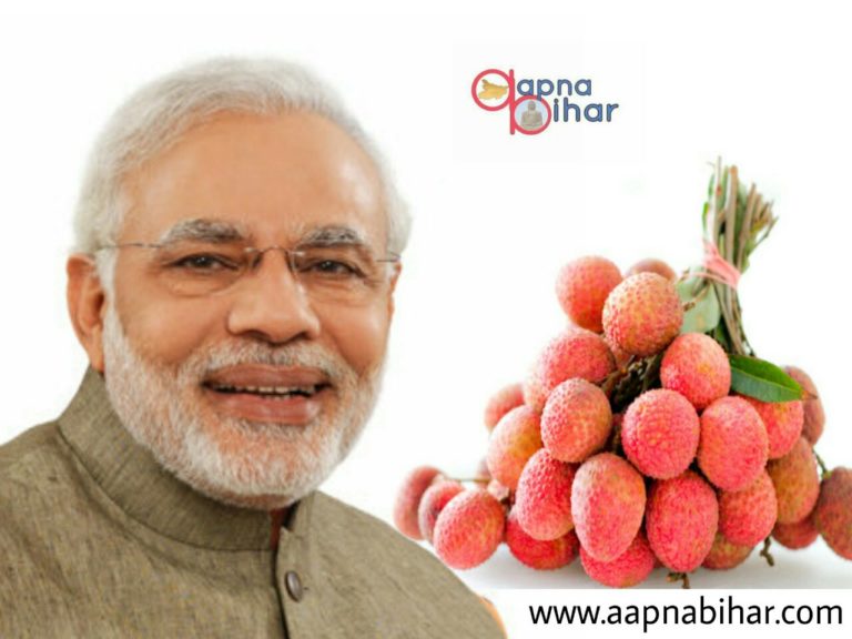 प्रधानमंत्री मोदी जी को भी पसंद है बिहार के मुजफ्फरपुर का प्रसिद्ध  शाही लीची