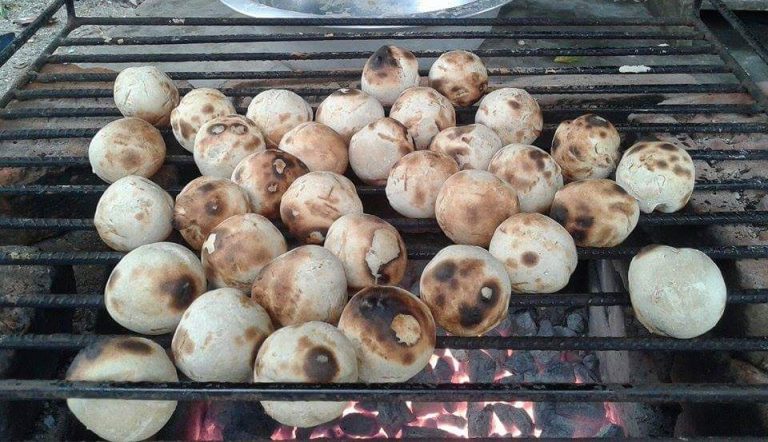 बिहार के विश्वप्रसिद्ध व्यंजन लिट्टी-चोखा खाने से ठीक होता है यह बिमारी