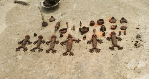 बिहार के भैया दूज पर श्रापने की प्रथा पर पढ़िए एक लघु एवं मजेदार कहानी