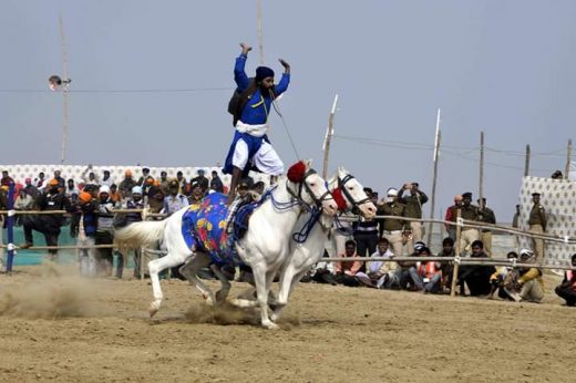 बिहार में पहली बार होगी घोड़ों की यह प्रतियोगिता
