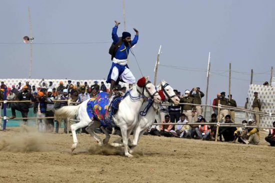 बिहार में पहली बार होगी घोड़ों की यह प्रतियोगिता