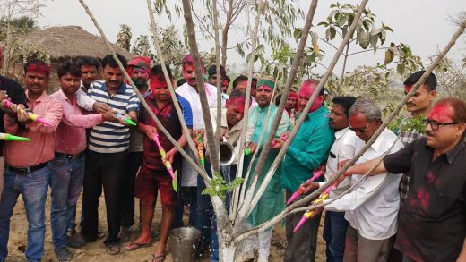 विकास वैभव चौराहा पर वृक्ष के साथ मनी अनूठी होली