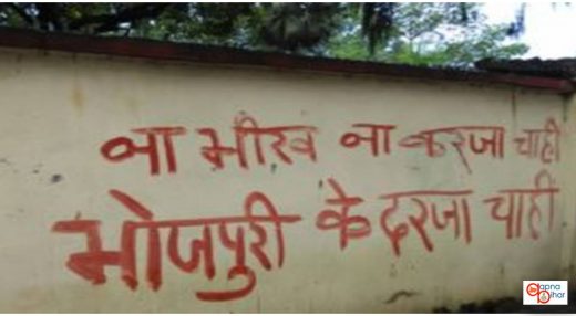 भोजपुरी का विकास यहां के लोगों से ज्यादा बाहर गए मजदूर और विदेशी देश मे रह रहे लोगों ने की