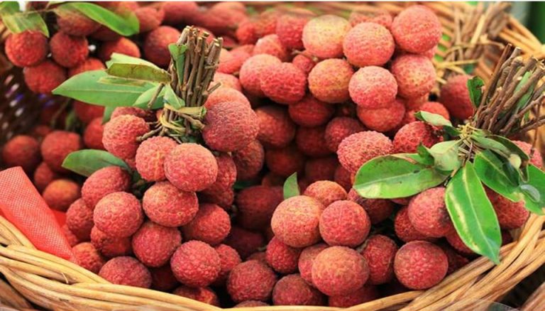 बिहार की मशहूर ‘शाही लीची’ के नाम एक और उपलब्धि, मिलेगा GI टैग