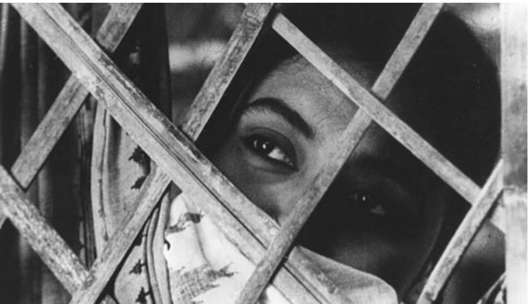 यह कहानी बिहार की उन आधी आबादी की है, जिनके पति उनको छोड़ परदेस कमाने चले जाते हैं