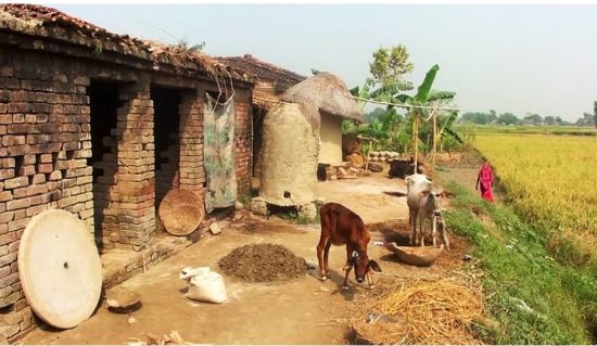 नगरपालिकाओं के तर्ज पर अब बिहार के गांवों में भी घर-घर से कचरे का उठाव किया जायेगा
