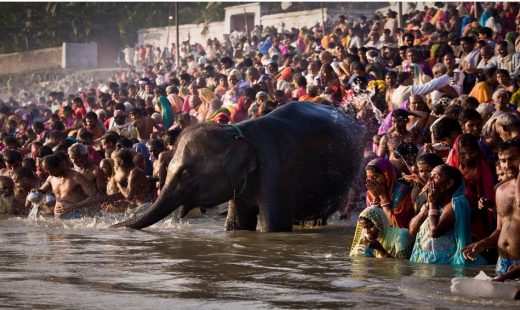 Know about the Sonpur Mela of Bihar,  a vibrant rural carnival like no other