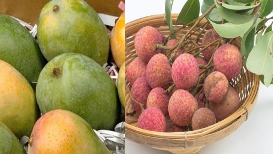 ऑनलाइन आर्डर हो रहा मुजफ्फरपुर की शाही लीची और भागलपुर की जर्दा आम