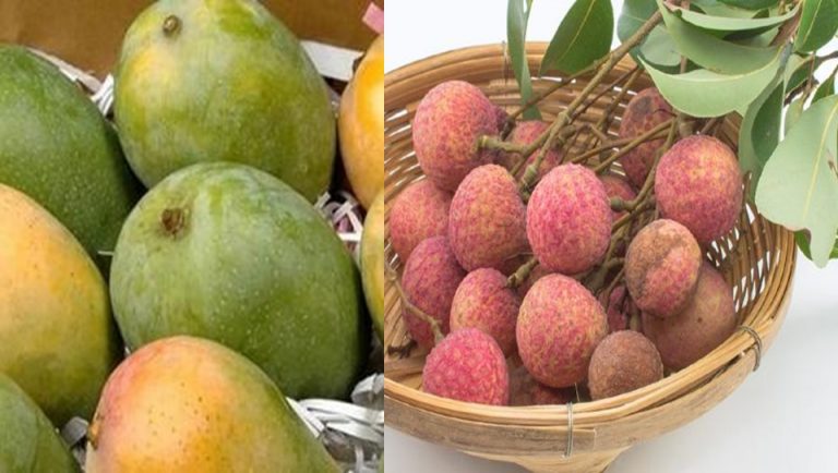 ऑनलाइन आर्डर हो रहा मुजफ्फरपुर की शाही लीची और भागलपुर की जर्दा आम