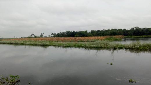 क्या बाढ़ के पानी में फिर डूबेगा उत्तर बिहार?