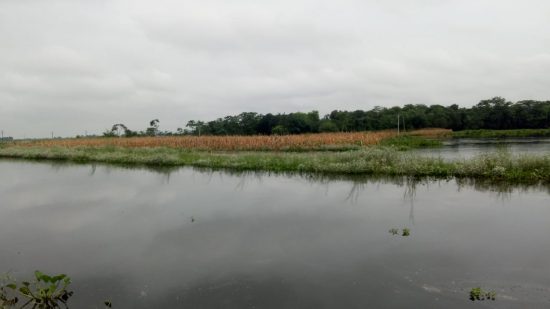 क्या बाढ़ के पानी में फिर डूबेगा उत्तर बिहार?