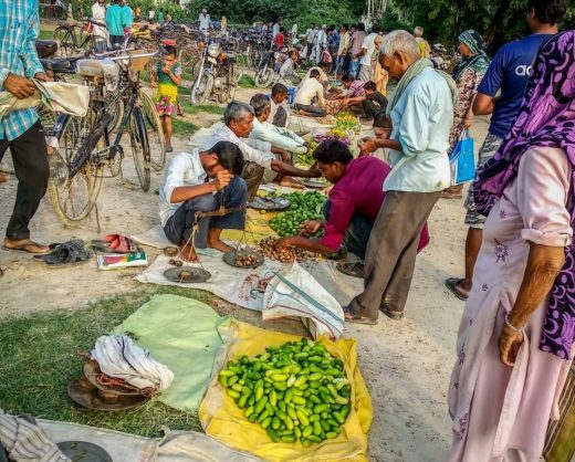 Lockdown in Bihar: लॉकडाउन के नियम गांवों और शहरों के लिए अलग – अलग होने चाहिए
